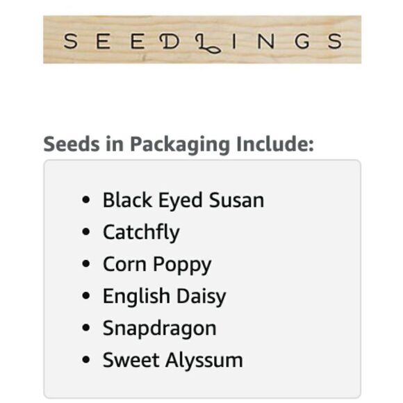 Legacy Publishing Group Seedlings Card Seed Paper Envelope NEW Wedding Love - Picture 4 of 4